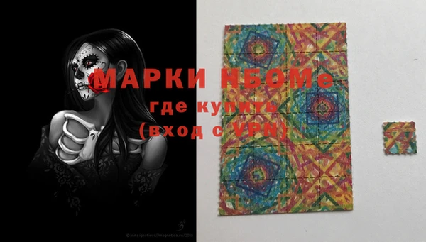 прущие грибы Дмитровск
