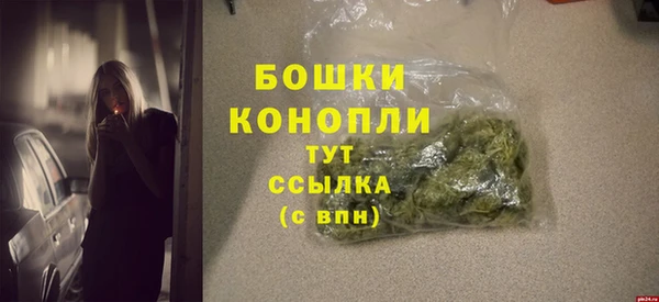 прущие грибы Дмитровск