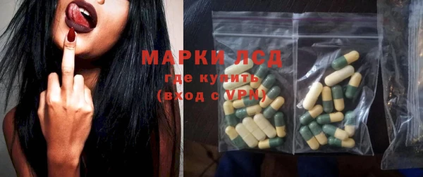 прущие грибы Дмитровск