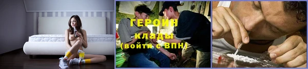 прущие грибы Дмитровск