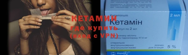 прущие грибы Дмитровск