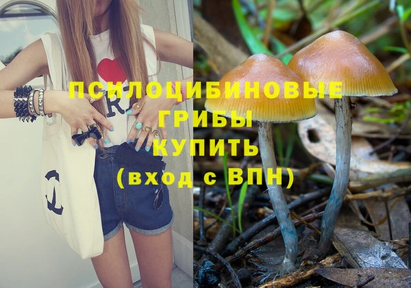меф Дмитриев