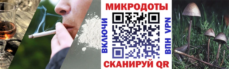 Купить закладки  Короча  Галлюциногенные грибы Magic Shrooms 